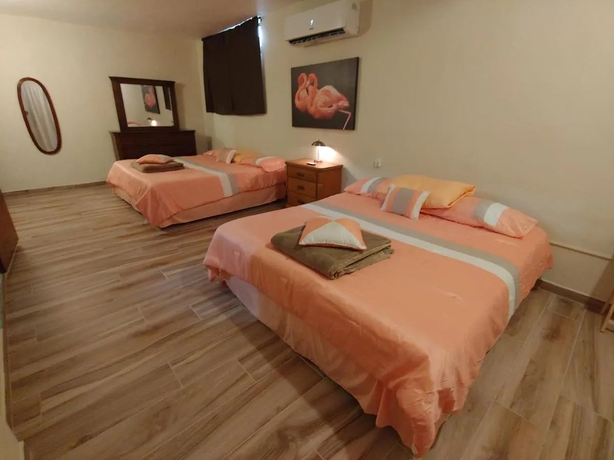 Appartement Garden view Guest house . Arecibo