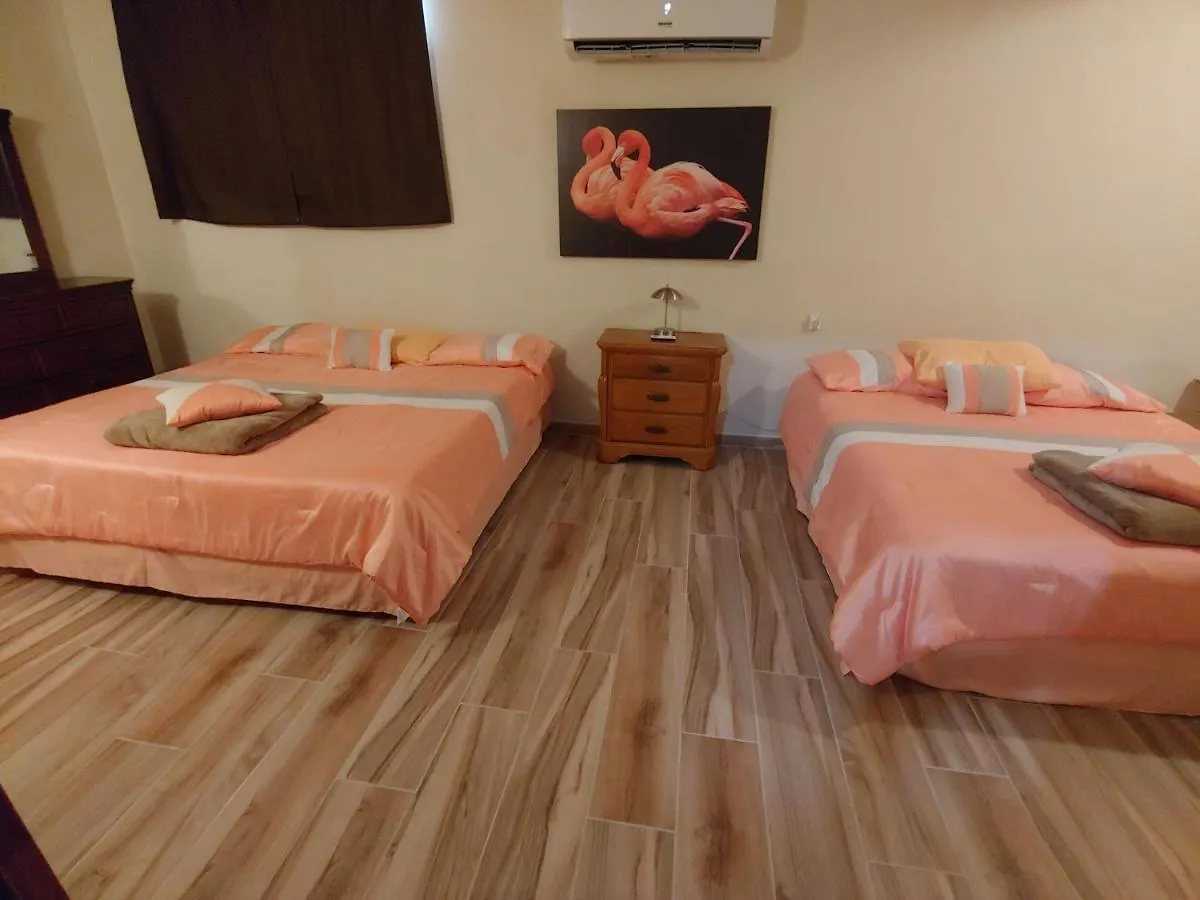 Garden View Guest House .의 연락처