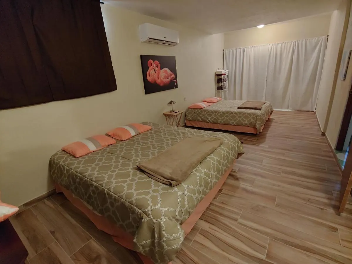 Garden View Guest House . 아레시보 푸에르토리코